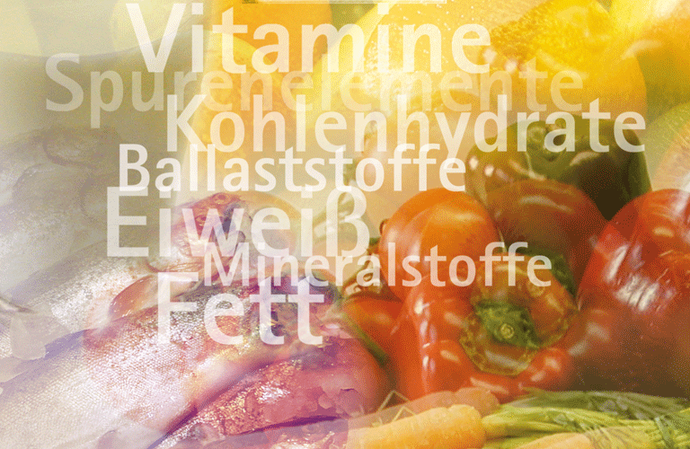 ernährung web
