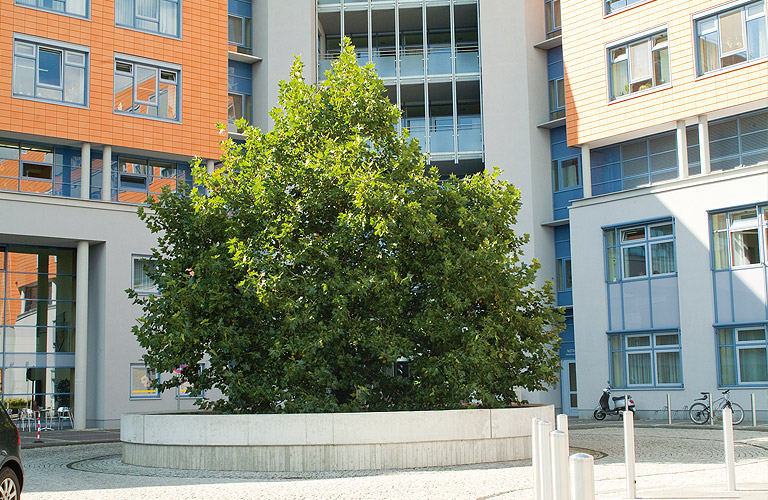 Klinikum Bad Salzungen Leitbild