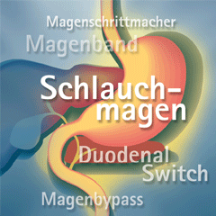 titelbild adipositas web